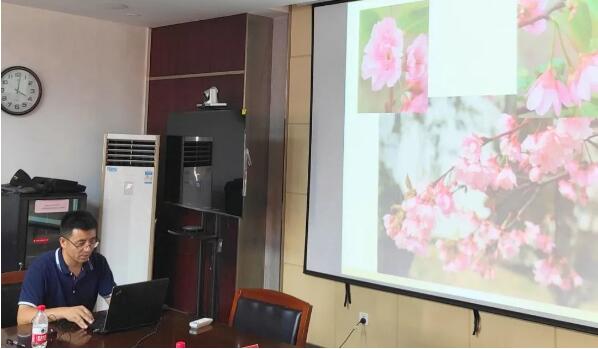 中国花卉协会领导、专家来市园科院调研国家樱花种质资源库