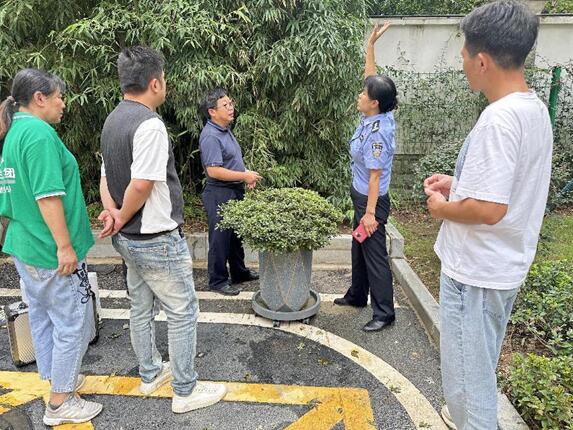 植物医生“把脉会诊”，盆栽杜鹃有望新生