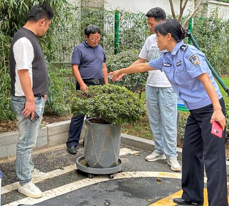 植物医生“把脉会诊”，盆栽杜鹃有望新生