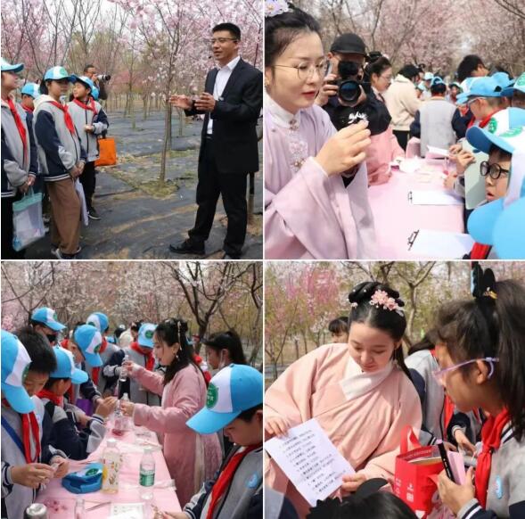 在“国樱摇篮”园科院，共赴樱花嘉年华