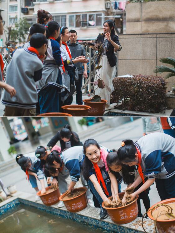 认识睡莲，种下春天