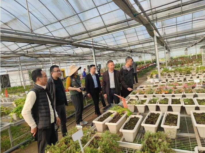 恩施自治州来凤县翔凤镇来我院考察交流